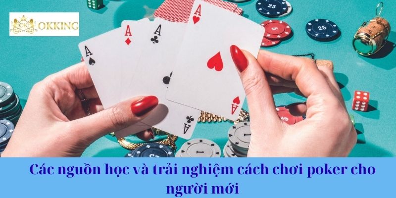 Các nguồn học và trải nghiệm cách chơi poker cho người mới