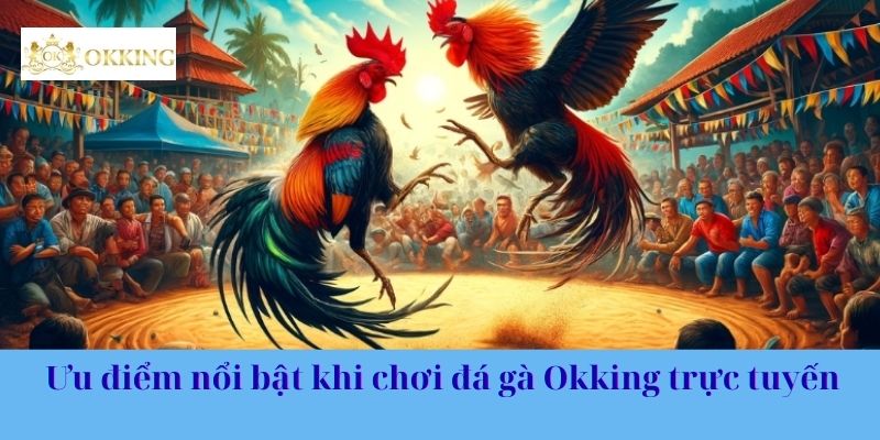 Ưu điểm nổi bật khi chơi đá gà Okking trực tuyến